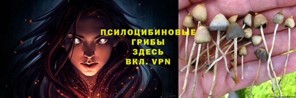 прущие крисы Аркадак
