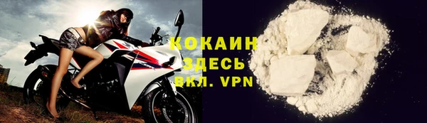 прущие крисы Аркадак