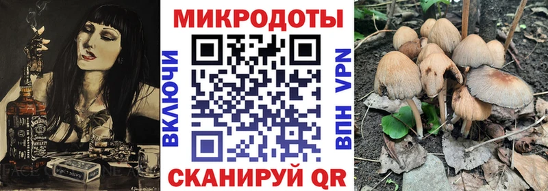 блэк спрут ссылки  купить  сайты  Белозерск  Псилоцибиновые грибы мицелий 